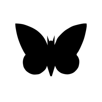 International Moth